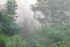 Ashbourne VIClandscaping-irrigation-4.jpg; ?>